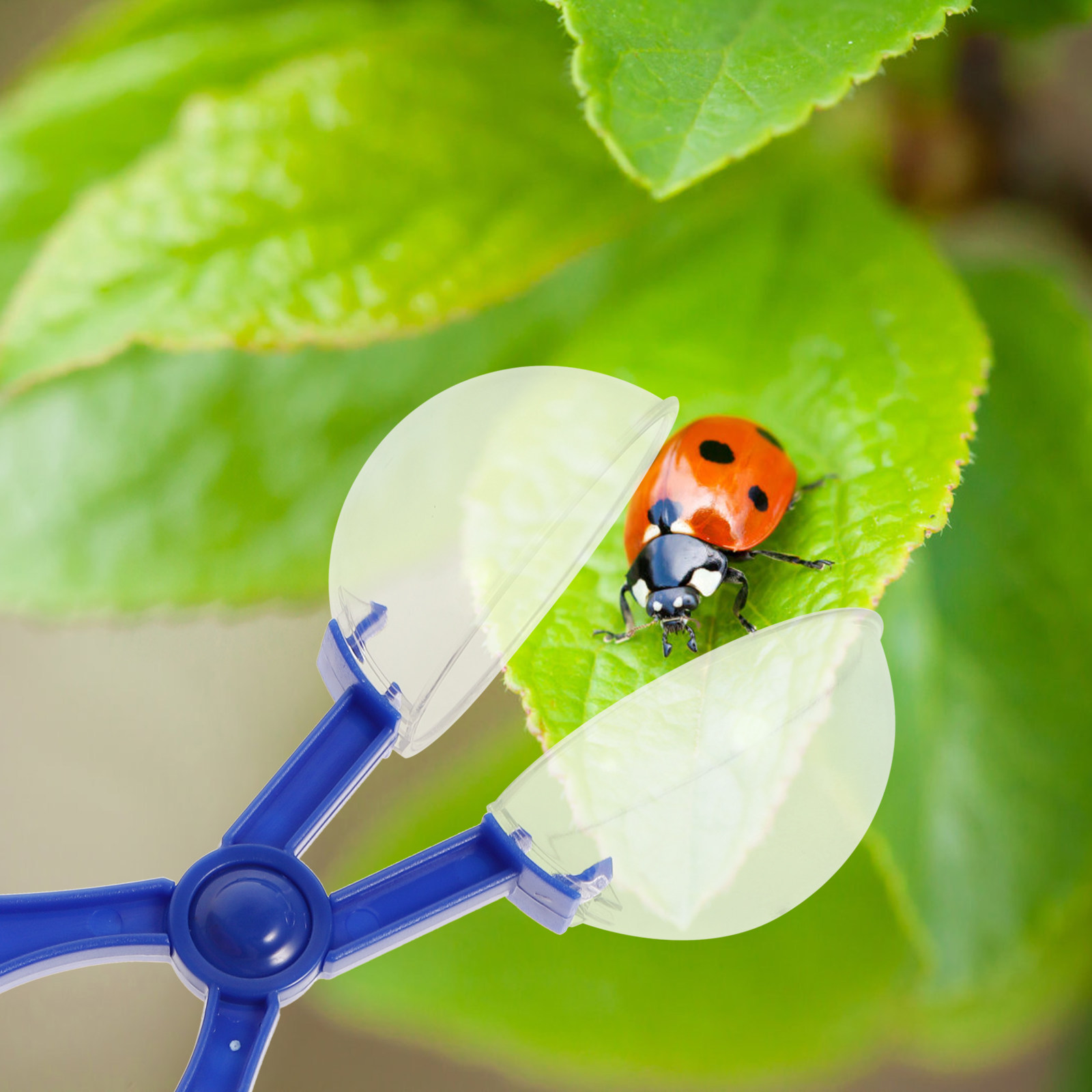 8Pcs Insect Catcher Scissors K - Kids Outdoor Education recension och pris