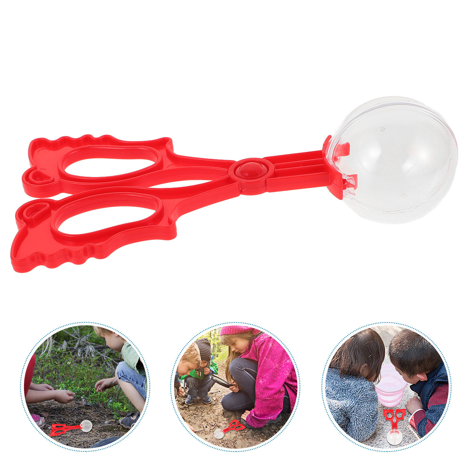 Insect Catching Claws Reptile  - Kids Outdoor Education recension och pris